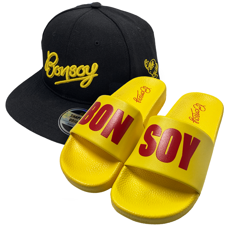 bonsoy-logo-cap-slides-bundle