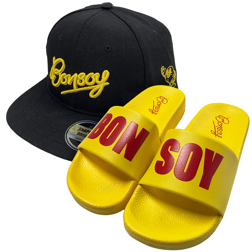 bonsoy-logo-cap-slides-bundle
