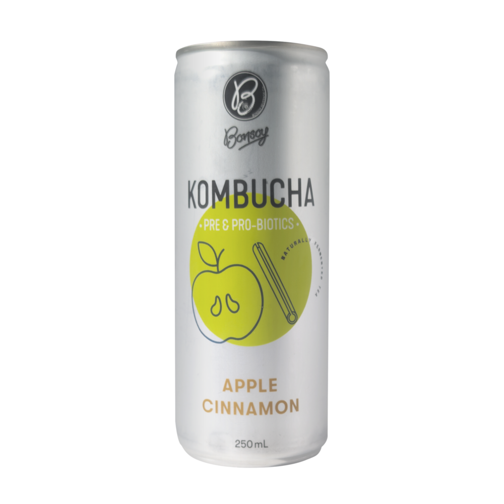 bonsoy kombucha apple cinnamon