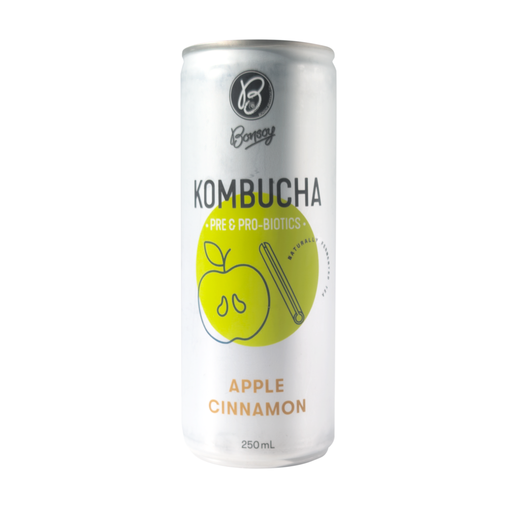 Bonsoy Kombucha (Box of 12) - Image 4