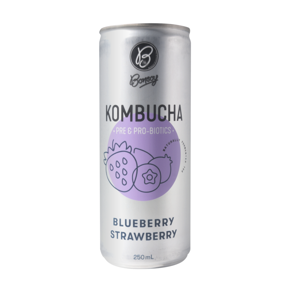 bonsoy blueberry strawberry kombucha