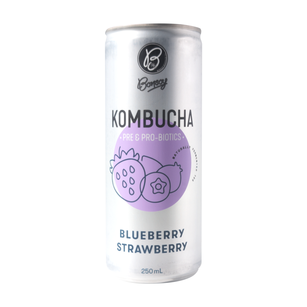 Bonsoy Kombucha (Box of 12) - Image 5