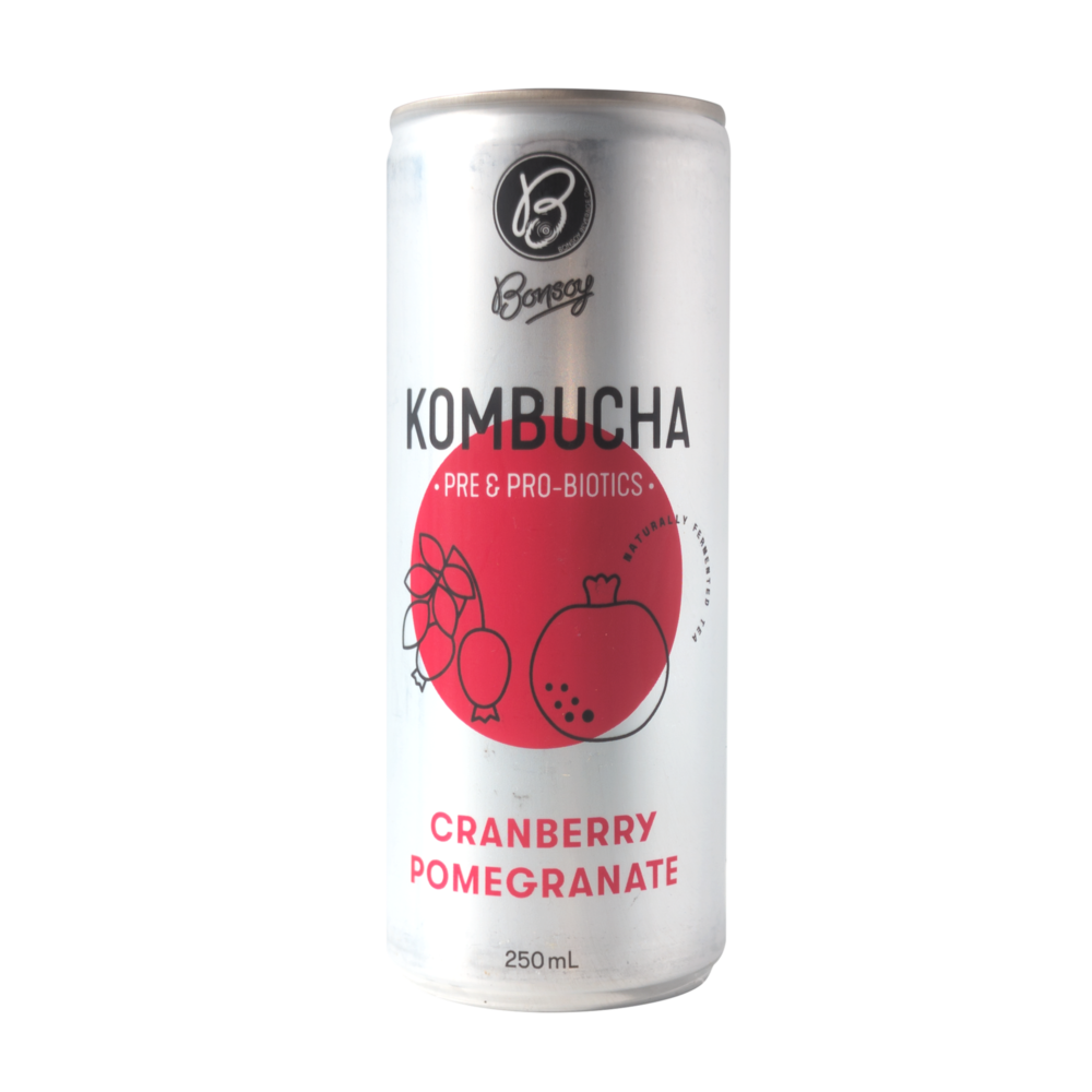 Bonsoy Kombucha (Box of 12) - Image 3