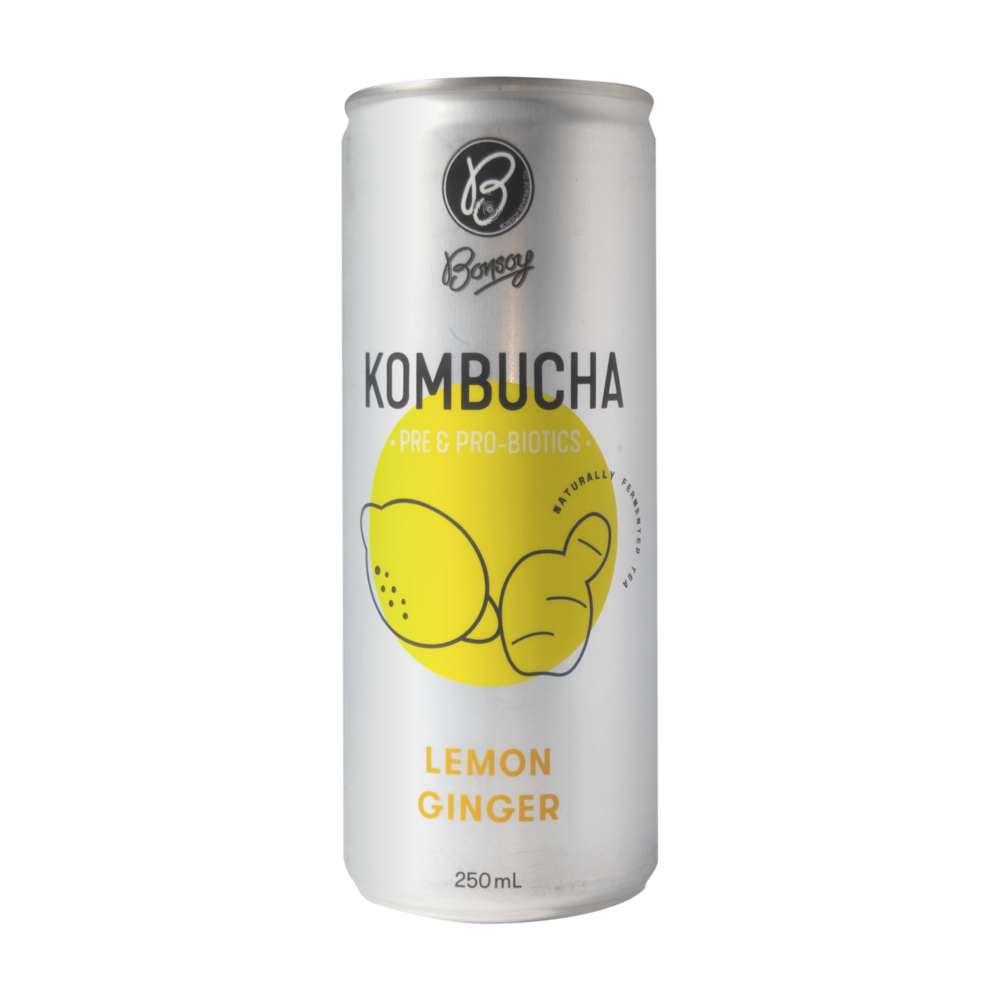 bonsoy lemon ginger kombucha