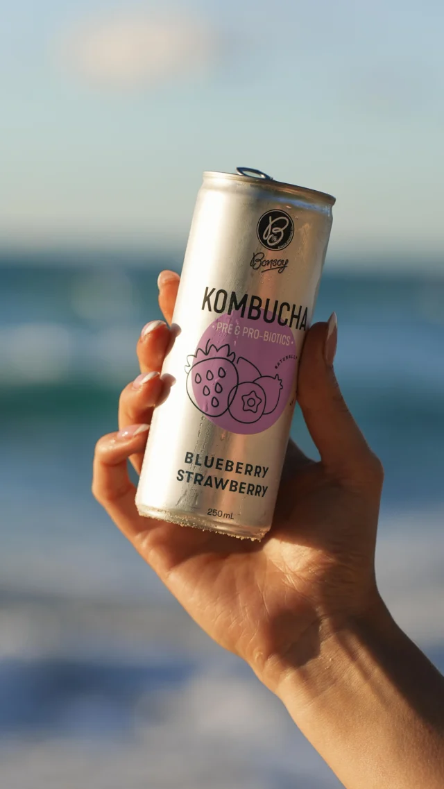 Health? Happiness? Why not both.Our Kombucha is bursting with natural goodness, added pre and pro-biotics, naturally fermented with fruit juice. Perfect for sun-soaked afternoons or a refresh when you need it most.#BonsoyKombucha #MakeItBonsoy #bonsoy #bonsoybeverages